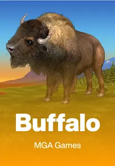 Buffalo