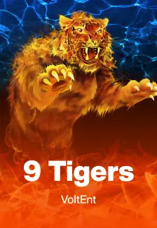 9 Tigers